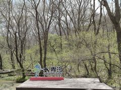 -大青沟风景区