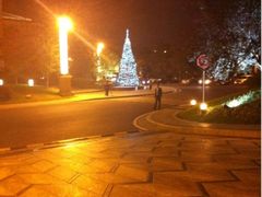 圣诞树已经开始装饰了-上海浦东星河湾酒店