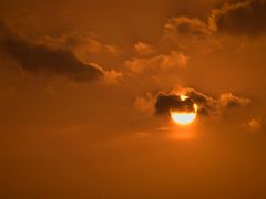 -无锡大剧院-售票中心