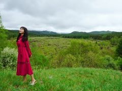 -御道口草原森林风景区