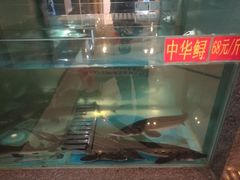 -尚味小厨·瓦罐煨汤