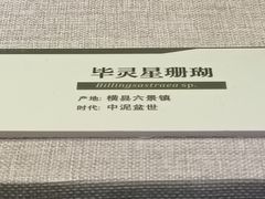 -浙江自然博物院(杭州馆)