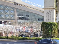 -虹口足球场壁球馆