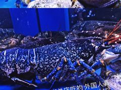 -皇朝会.经典传统粤菜(外滩店)