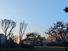 -唐城墙遗址公园