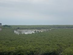 -北海金海湾红树林生态旅游区