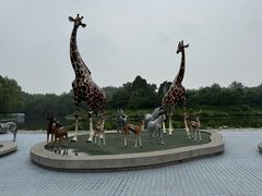 -北京野生动物园