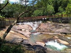 -广州白江湖森林公园