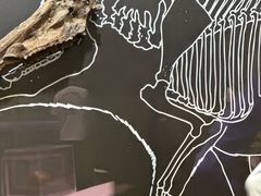 -北京周口店北京人遗址博物馆