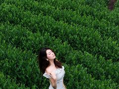 -帐篷客·溪龙茶谷度假酒店