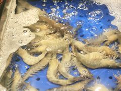 -宴立方海鲜自助(义乌万达广场店)