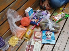 -长白岛森林公园