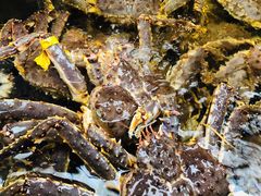 -盒马鲜生(大成店)