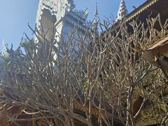 -西双版纳总佛寺
