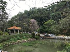 -火炉山森林公园