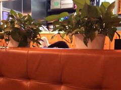 -Me&Joe意大利面·珍珠奶茶(鲁班路店)