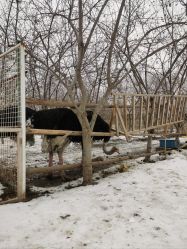 -优沃得自然教育农场·冰雪乐园·生日会·研学