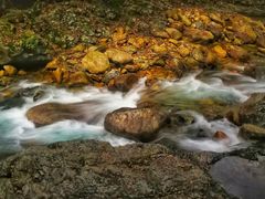 -祁门牯牛降观音堂风景区