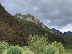 -稻城亚丁景区-冲古草甸