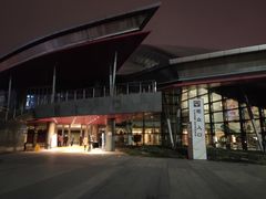-合肥大剧院