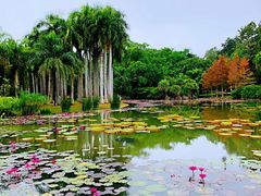 -中国科学院西双版纳热带植物园