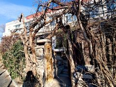 -斯多格书乡(北京大学畅春园店)