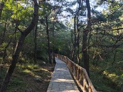 -大连金龙寺国家森林公园-售票处