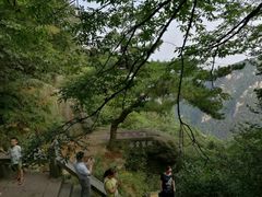 -庐山风景区花径公园