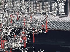 -钱王祠