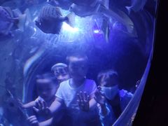 -成都浩海立方海洋公园