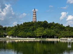 -顺峰山公园