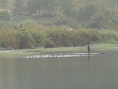 -靖西鹅泉风景区