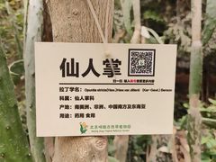 -呀路古热带植物园