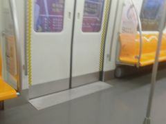 -奥体中心(地铁站)