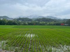 -韶山毛泽东同志故居