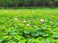 -常州奔牛国际机场