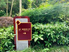 -青城道汤池