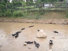 -前小桔亲子创意农场·草莓采摘·露营烧烤