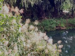 -捞渔河湿地公园
