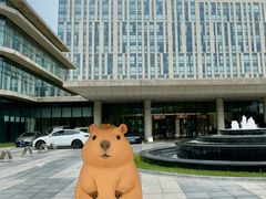 -廊坊固安福朋喜来登酒店