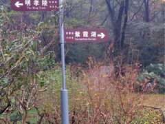 -紫霞湖公园