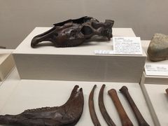-大阪历史博物馆