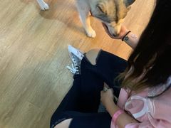 -Husky Go! 哈士奇体验馆·宠物咖啡厅狗咖