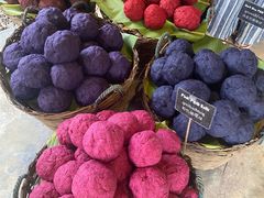 -大象粑粑造纸公园