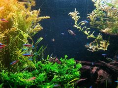 -上海海洋水族馆