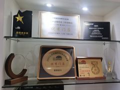 -车艺佳龙膜隐形车衣汽车贴膜(宝山丰宝店)