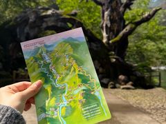 -龙湾潭国家森林公园