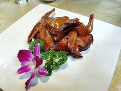 琵琶乳鸽-五邑人家(江门店)