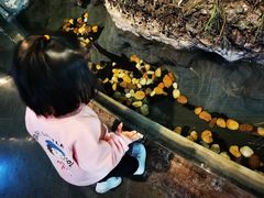 -中国湿地博物馆