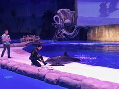 -华夏文旅海洋公园